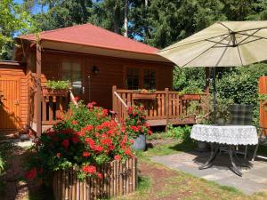 Zahrada ubytování B&B Porcini