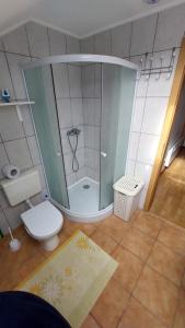 a small bathroom with a shower and a toilet at Apartma ASJA in Brežice +4 photos