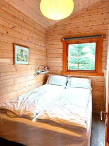 a bed in a wooden room with a window at Ásgeirsstaðir Holiday Homes in Ásgeirsstaðir