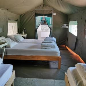 a bedroom with two beds in a tent at Achab Self Catering Tent in Usakos
