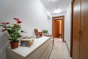 a hallway with a counter with books and a plant at il passetto in Rome