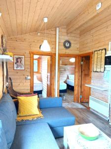 a living room with a blue couch in a cabin at Ásgeirsstaðir Holiday Homes in Ásgeirsstaðir