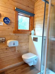 a bathroom with a toilet and a sink and a window at Ásgeirsstaðir Holiday Homes in Ásgeirsstaðir