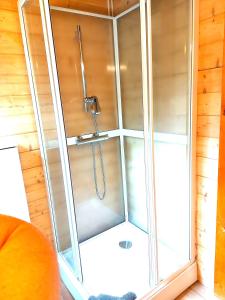 a shower with a glass door in a room at Ásgeirsstaðir Holiday Homes in Ásgeirsstaðir