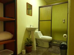 a bathroom with a toilet and a sink and a shower at Cabaña Rural Pura Vida in Fortuna