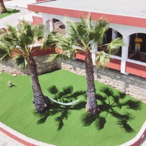 Kebun di luar Porto Santo Destination