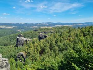 - une vue sur une forêt avec des rochers et des arbres dans l'établissement Fewo-hierundjetzt Lichtenhain am Malerweg, à Lichtenhain