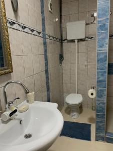 y baño con lavabo blanco y aseo. en Apartment Citta Vecchia, en Mostar
