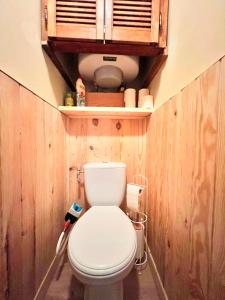 uma casa de banho com WC numa parede de madeira em T2 au charme authentique em Briançon