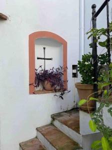 A garden outside La casa del piano - Beautiful 18th century house with courtyard & pool