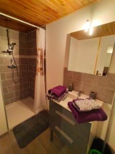 a bathroom with a sink and a shower at L'oustalet de Mamy in Dourbies