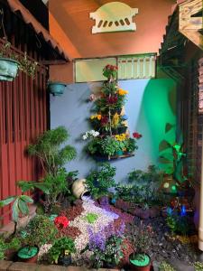einen Garten mit Blumen und einem Weihnachtsbaum in der Unterkunft Gardens House, Airport Juan Santamaría, Alajuela, San José in Alajuela
