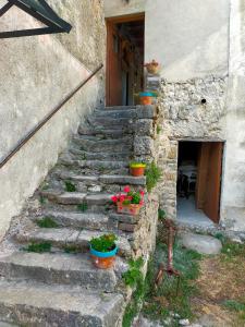 a set of stone stairs with potted plants on them at L'oustalet de Mamy in Dourbies
