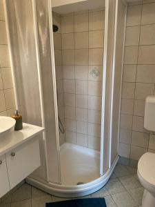 a shower in a bathroom with a sink and a toilet at Studio apartment Ta5ek in Jesenice