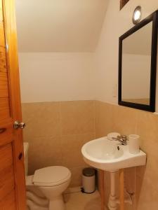 a bathroom with a sink and a toilet and a mirror at Hospedaje PILARES DE BOCAPAN in Bocapán