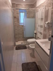 a bathroom with a shower and a toilet and a sink at Home Sweet Home in Civitavecchia