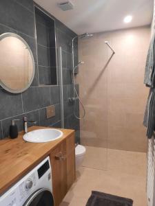 a bathroom with a shower and a sink and a washing machine at Mini-Apartment Admont in Admont