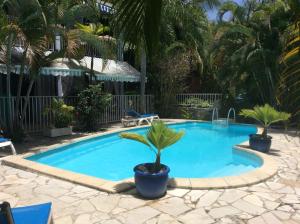a pool with a palm tree in a yard at RESIDENCE BLEU MARINE (Appartement Bleu Océan) in Le Gosier