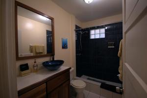 a bathroom with a sink and a toilet and a shower at BELIZE TROPICAL DREAM VILLAS in San Pedro