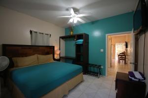 BELIZE TROPICAL DREAM VILLAS في سان بيدرو: غرفة نوم بسرير ومروحة سقف