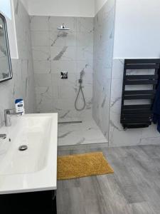 La salle de bains est pourvue d'un lavabo blanc et d'une douche. dans l'établissement Loft épuré avec parking privé., à Saint-Symphorien-dʼOzon