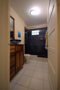 BELIZE TROPICAL DREAM VILLAS في سان بيدرو: حمام مع مرحاض ومغسلة