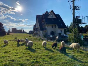 Fotografie z fotogalerie ubytování Apartament Góralski v destinaci Murzasichle