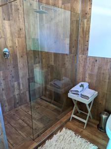 a shower with a glass door and a stool in a bathroom at Silverstone Lodge in Mbabane