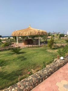 une grande cabane avec un toit en gazon et un champ dans l'établissement Dolphin Continental Hotel, à Al-Qusair