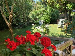 een tuin met rode bloemen en een houten bank bij Golden Ravenna- large appartment in center in Ravenna