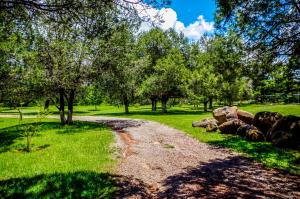a dirt road in a field with trees and rocks at Villas Xänthe in Huasca de Ocampo