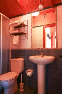 a bathroom with a toilet and a sink and a mirror at Apartamentos Rurales Las Cuendias in Perlunes