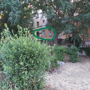 Vonkajšia záhrada v ubytovaní Apartman Fiume