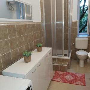 Kúpeľňa v ubytovaní Apartman Fiume