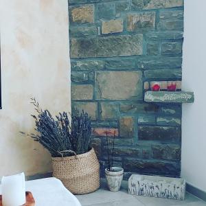 una sala de estar con una pared de piedra y una planta en Hisa STERNA - WELL HOUSE, en Zgornje Škofije