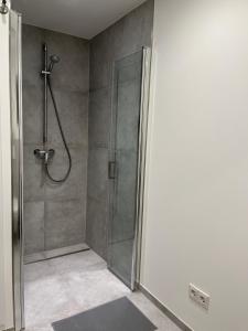 y baño con ducha y puerta de cristal. en Neubauwohnung inklusive Tiefgaragenstellplatz, strandnah und ruhig gelegen, en Sierksdorf