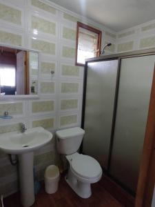 uma casa de banho com um WC e um lavatório em Cabaña Los Maquis em Licán Ray
