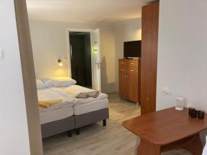 a bedroom with a bed and a table and a television at Villa Bartosz in Międzywodzie