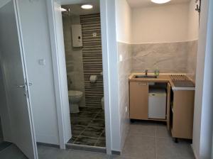 ein Bad mit einem Waschbecken und einem WC in der Unterkunft Vila Grozdanoski in Konsko