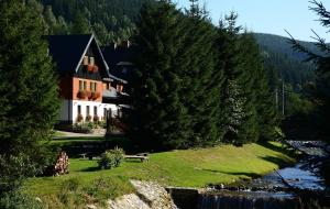 Príroda v okolí of the bed and breakfast