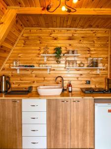a kitchen with a sink and a wooden wall at SAPANCA BUNGALOVCA in Sapanca