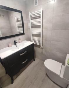 y baño con lavabo, aseo y espejo. en Precioso apartamento con terraza, pistas de padel y piscinas, en Castro Urdiales