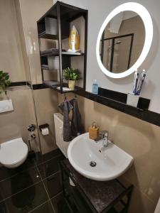 a bathroom with a sink and a mirror at Appartement OTTO I - Erfurt Zentrum in Erfurt