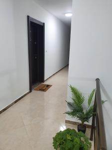 Kép Apartment Aria szállásáról Velingradban a galériában