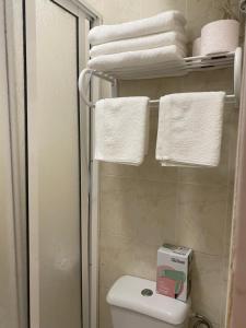 łazienka z toaletą i ręcznikami na wieszaku w obiekcie Apartamento renovado en Puerto de la Cruz w Puerto de la Cruz