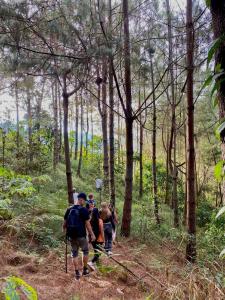 a group of people walking on a trail in the woods at Hass Glamping Jericó in Jericó