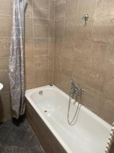 a bathroom with a bath tub with a shower curtain at BDA Budapest Downtown Apartment in Budapest