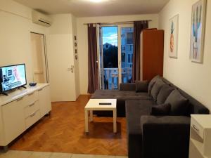 TV a/nebo společenská místnost v ubytování Apartments by the sea Povljana, Pag - 14101