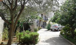Zahrada ubytování Apartments by the sea Mali Losinj (Losinj) - 14166
