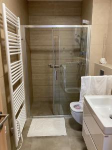 een badkamer met een douche, een toilet en een wastafel bij Apartman X12, Hillside in Dolný Kubín